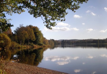 silent lake - clouds, lake, tree, silent