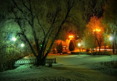 park in winter night - winter, night, park, tree