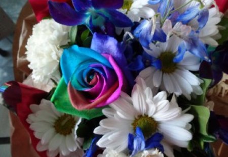 Bouquet of flowers to all on Christmas - white, red, photography, blue, flowers, daisy, rose