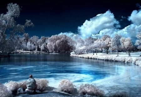 Blue Lake - picture, blue, beautiful, lake, mixed