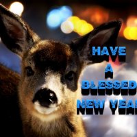 Have a Truly Blessed New Year!