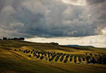 cloudy green hills - clouds, hills, farms, fields