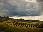 cloudy green hills