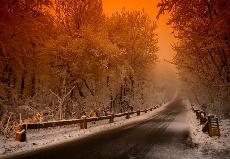 'Scenic Route of Christmas' - attractions in dreams, scenery, creative pre-made, snow, stunning, holiday, streets, winter holidays, roads, trees, winter, photography, colors, xmas and new year, route, frozen, white, lights, love four seasons, travels