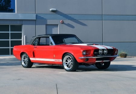 1967 Mustang GT500 Convertible - shelby, mustang, gt500, convertible, ford