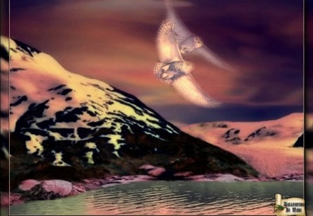 Snowy Owls - owls, birds, mountains, sunsets, lakes