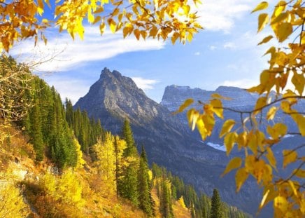 Autumn in the mountains - mountains, tree, sky, autumn