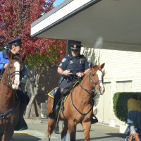 Mounted Police