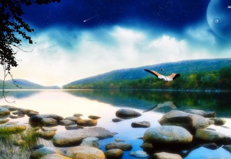 Summer Lake - forest, rock, animals, bird, water, daylight, lake, sky, land, reflection, clouds, trees, nature, day