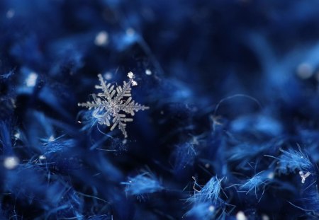 *** Beautiful and delicate snow star *** - wishes, christmas, best, hope, merry, new, happy, year