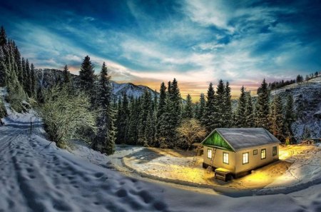 *** Winter *** - winter, nature, blue, beautiful, night, forest, mountains, lihts