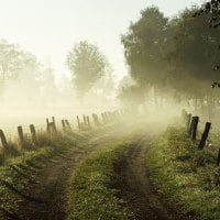 Misty Morning, Lower Saxony, Germany