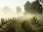 Misty Morning, Lower Saxony, Germany