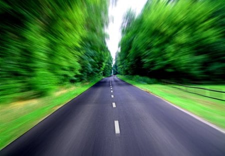 road speed - tree, road, green, speed