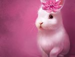 cute bunny