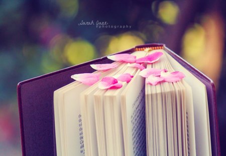 Book Of Love - love, petal, pink, rose, book