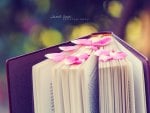 Book Of Love