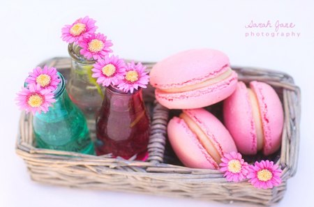 **Delicious Macarons**