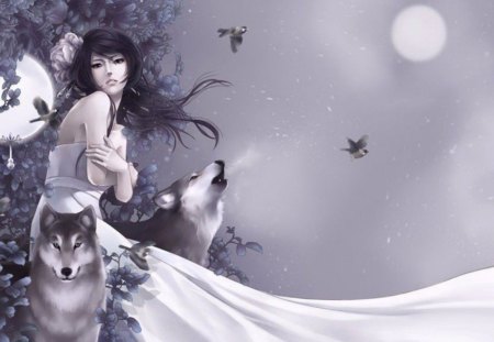 WOLVES - wolves, moon, female, animals, howling