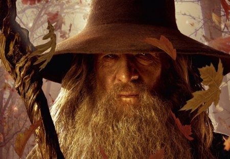 Gandalf The Grey