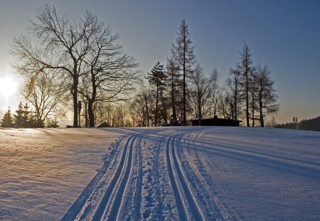 Winter - frosty, xmas, greeting, shine, other, whiter trees, amazing, cool, cold, holiday, frozen, silent, shining, nature, splendidly, celebration, beautiful, seasons, travels, peaceful, photography, mountains, wonderful, mist, gorgeous, quiet, winter time, rivers, magnificent, winter, christmas, splendor blue in winter, splendor, miracle, fog