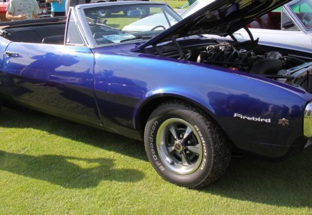 1967 blue Pontiac Firebird - photography, blue, tires, pontiac, engine, black