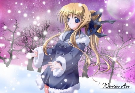 ~Winter Air~ - anime, winter, air, snow, misuzu