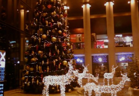 Christmas in Mall_Timisoara - chr, as, m, ist