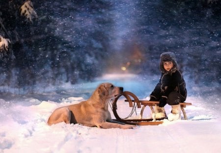 friends at Christmas - friends, christmas, dog, snow