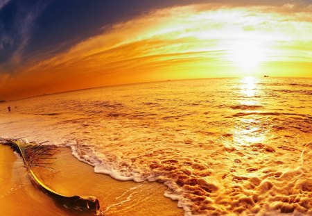 Golden - sunset, water, nature, beach, beautiful, sun