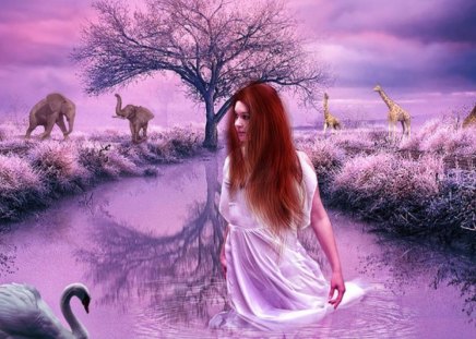 Serengti Nights - swan, lady, fantasy, bird, pink