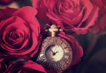 A Touch of Red - flowers, watch, roses, red, time