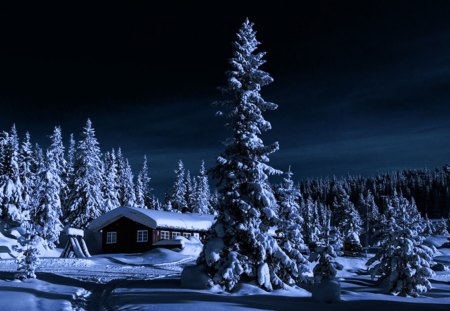 Winter Night - snow, night, winter, shelter