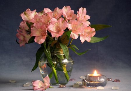 Pink Flowers - flowers, picture, pink, beautiful