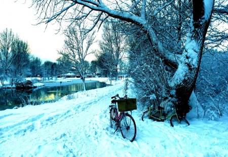 WINTER SCENE - winter, scene, netherlands, bicycle, snow