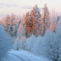 Frosty Winter Road