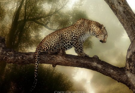 Leopard - jungle, deviant art, leopard, beautiful dezzan art