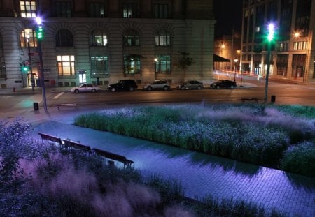 colorful light at city park at night - streets, lights, colors, city, park