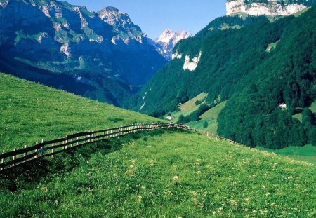 wonderful swiss alps meadow - meadow, trees, fence, mountains