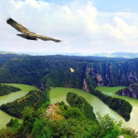 Eagles Flying over Beautiful Landscape