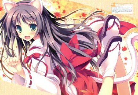 Anime - tail, long hair, animal ears, anime