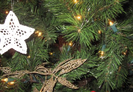 Christmas star decoration - star, white, green, photography, tree, mini light