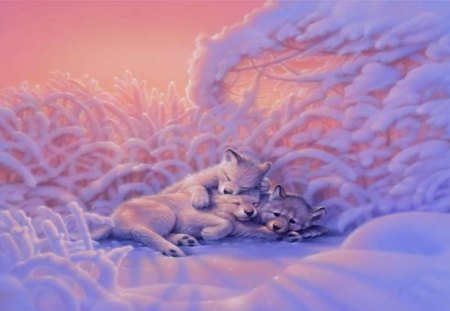 Frozen winter dawn - animals, fantasy, wolves, painting, art, cold, frozen, cute, winter, wallpaper, wolf, hd, abstract, cubs, frost, dawn, snow