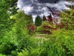 colorful forest