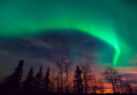 aurora borealis - borealis, clouds, aurora, sky