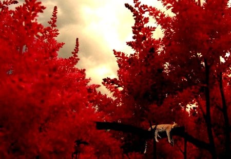 WILD REST at PINK FOREST - rest, leopard, forest, pink