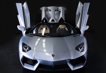 Lamborghini Aventador LP700-4 Roadster 2014 Open Doors - speed, front, doors, sports car, nice, lamborghini, cool