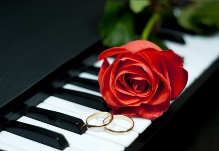 Romantic Rose - piano, rose, romance, red