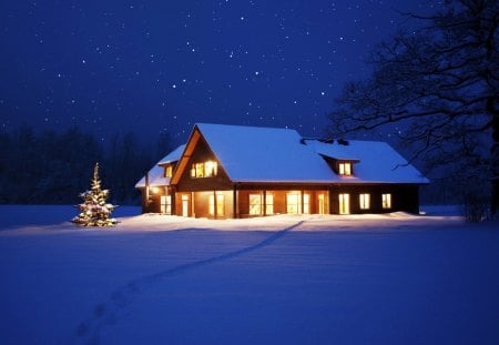 *SILENT NIGHT* - outstanding, lights, wallpaper, forest, great, fantastic, beautiful, holidays, stars, amazing, adorable, christmas, silent night, christmas tree, picture, marvellous, wonderful, winter, pretty, awesome, xmas, super, sky, skyphoenixx1, nice, stunning, house, trees, snow