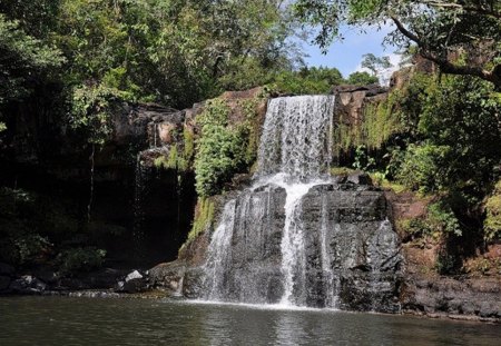 waterfalls - waterfalls, tree, forest, river